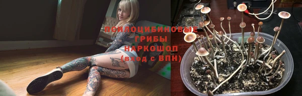 мескалин Ладушкин